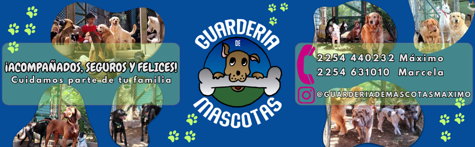 Guardería de Mascotas Máximo