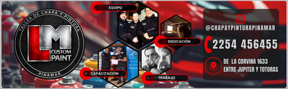 LM Custom Paint (Gregor)