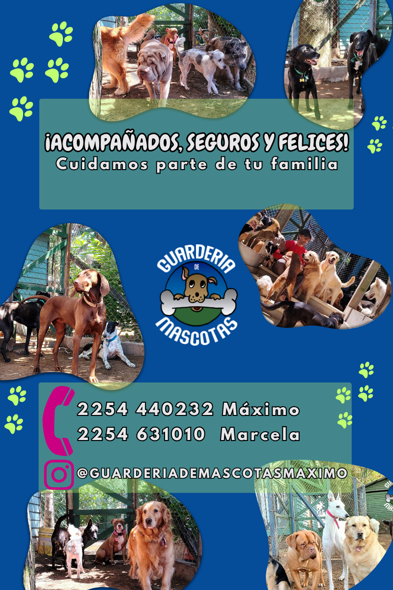 Guardería de Mascotas Máximo