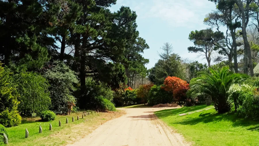 Paseo por Cariló