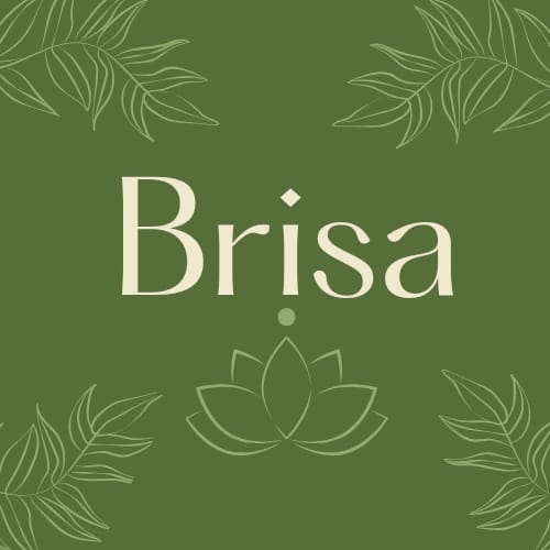 Brisa